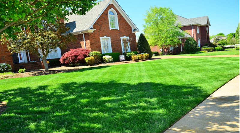 How to Have the Perfect Lawn